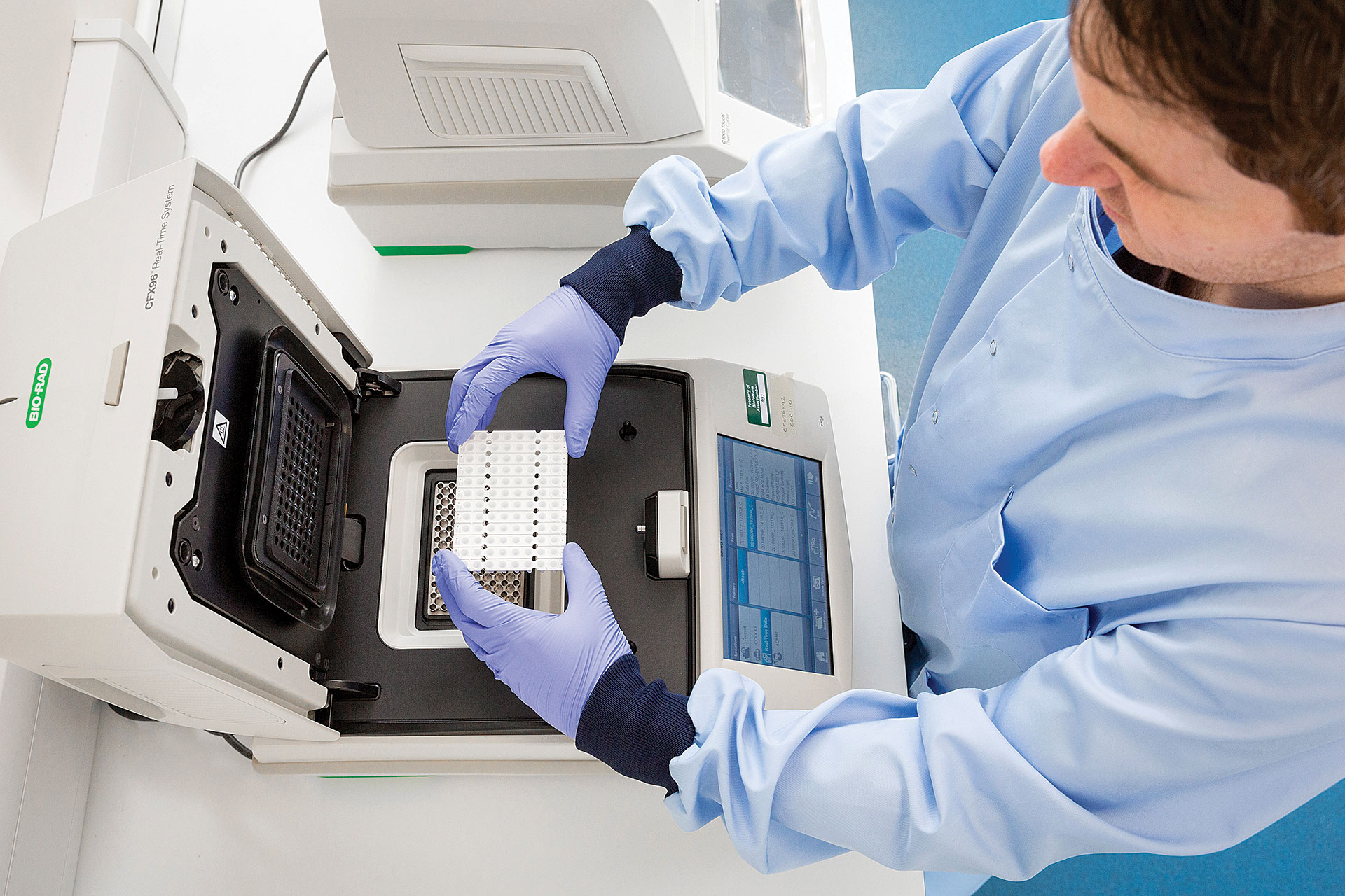 Automated Western Blot System