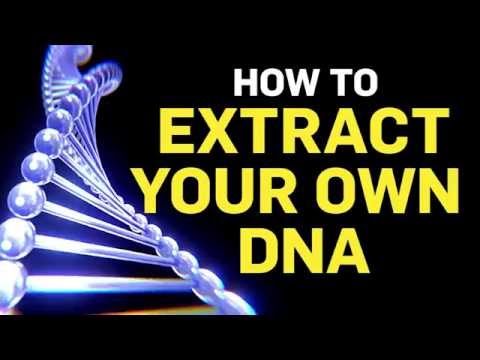How to Extract Your Own DNA Using Basic Kitchen Supplies