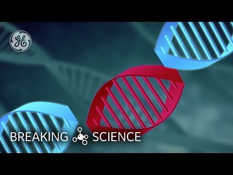 CRISPR-Cas9: The Key to Fighting Genetic Disease?