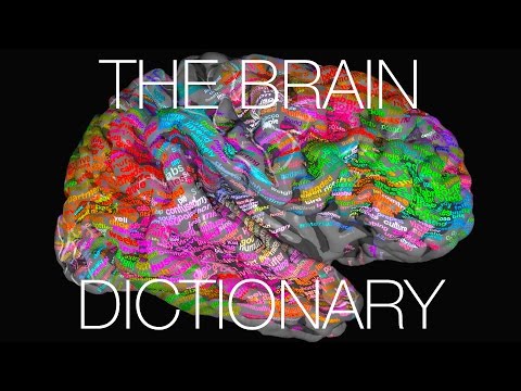 The Brain Dictionary
