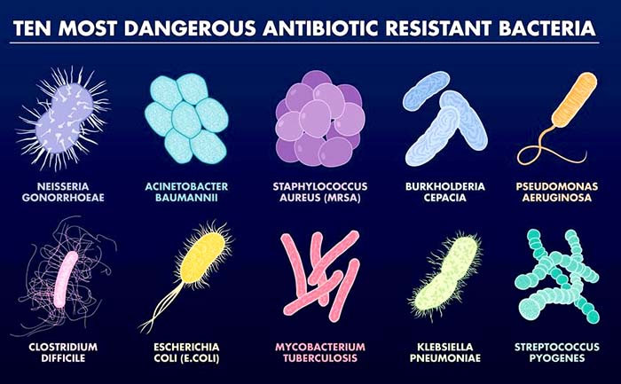 Examples of various drug-resistant bacterial strains.[WHO]