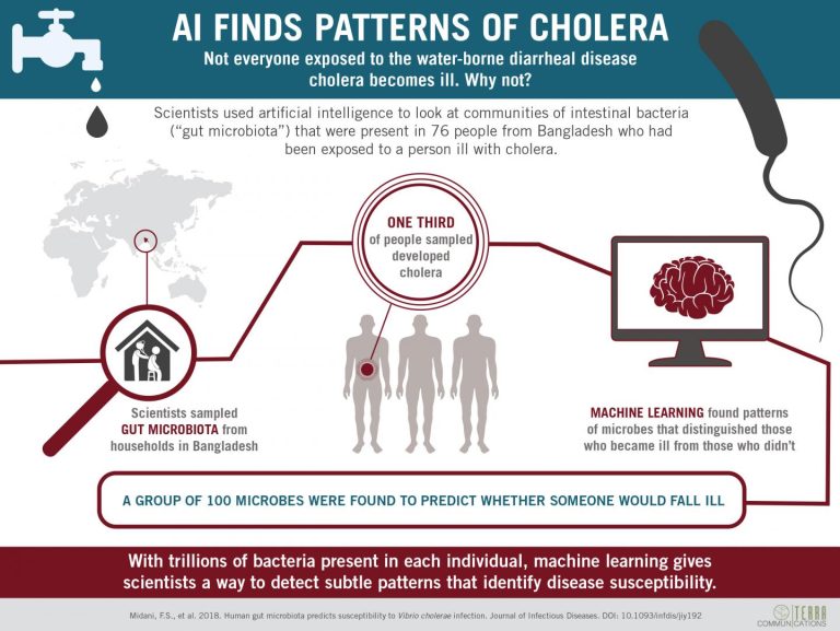 Human Gut Microbiome Can Predict Cholera Outbreaks with AI Assistance