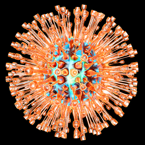 Unconventional Design Approach Shows Promise for New Herpes Vaccine