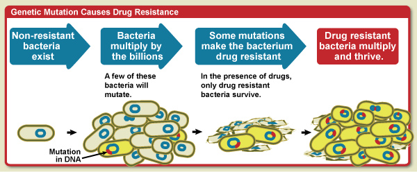 Drug resistance can often emerge due to the selective pressure of antibiotic use on a microbial population. [NIAID]