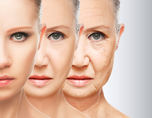 Scientists believe they have discovered the key driver in the human aging process