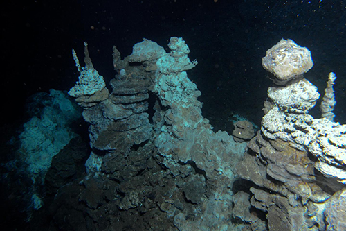 Image of a hydrothermal vent field along the Arctic Mid-Ocean Ridge, close to where 'Loki' was found in marine sediments. [Centre for Geobiology (University of Bergen, Norway) by R.B. Pedersen]