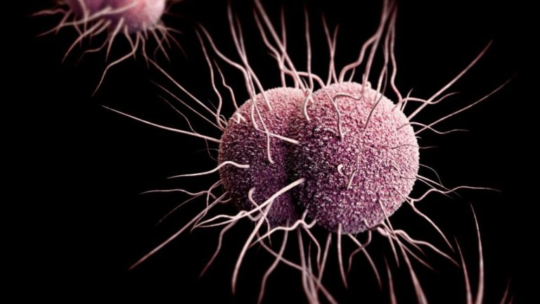 Meningitis Vaccine Could Protect Against Gonorrhea