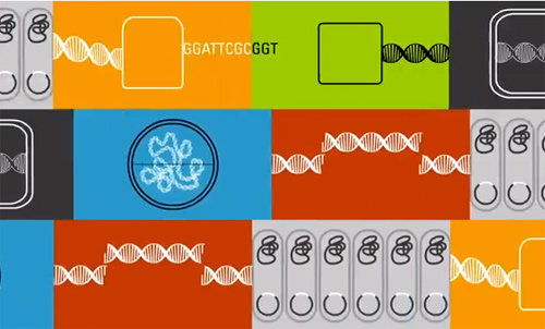 This video takes you through the principles of synthetic biology