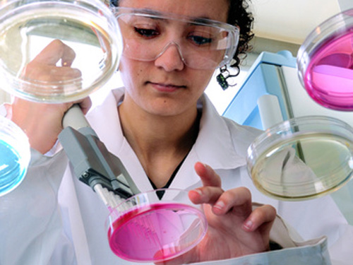 Firm specializes in cell culture products for R&D as well as manufacture of biologics.[KaYann - Fotolia.com]