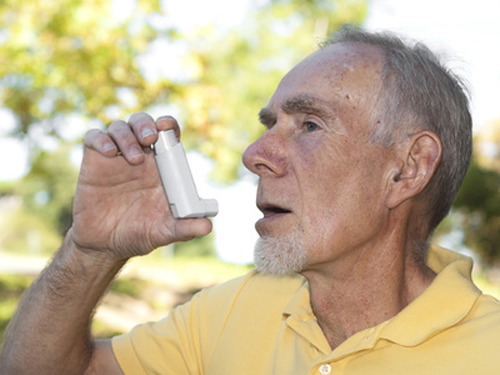 Asthma drug developer awaits EMEA ruling and says it will look for a new U.S. partner. [© waxart - Fotolia.com]