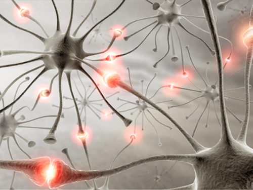 Columbia University-led team claims induced neurons derived from familial AD patient fibroblasts demonstrate disease-related phenotypes. [© ktsdesign - Fotolia.com]