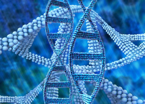 GlaxoSmithKline (GSK) has made a $300 million equity investment in 23andMe under a collaboration designed to accelerate development of new therapies for both companies by using genetic data to identify new drug targets. [Source: © fotoliaxrender/Fotolia]