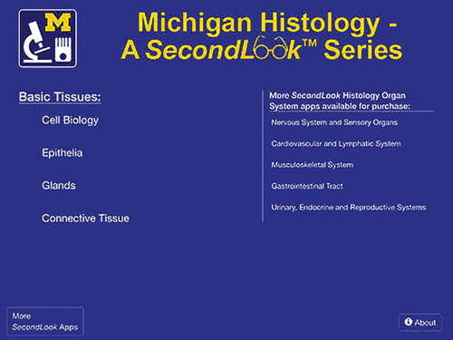 Histology—Basic Tissues