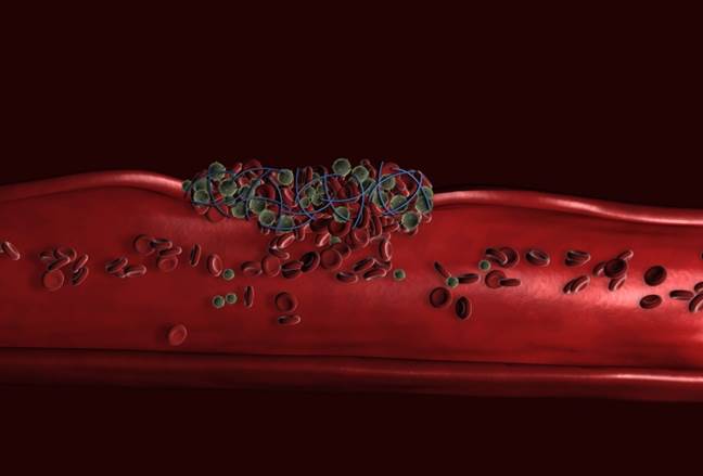 New findings show that engineered platelets can deliver antibodies to kill cancer cells before they can grow or spread elsewhere in the body. [NIH]