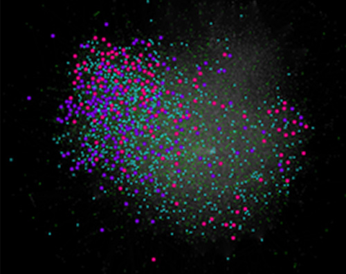 Facebook-like Network Analysis May Lead to Better Cancer Targeting