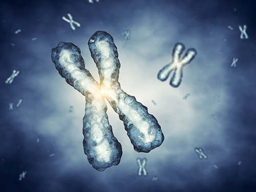 Researchers found that the NORAD gene plays a critical role in keeping the genome stable and that when NORAD is absent, cells frequently lose or gain whole chromosomes. [iStock/nobeastsofierce]