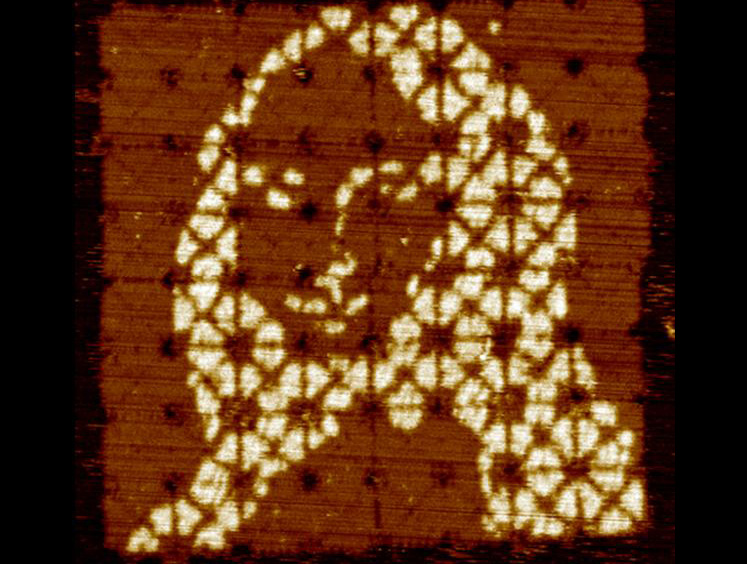 DNA rendering of the Mona Lisa viewed with atomic force microscopy. [Qian laboratory]