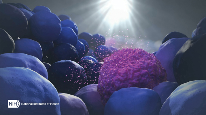 Liquid Biopsies May Simplify Checkups of Transplanted Stem Cells