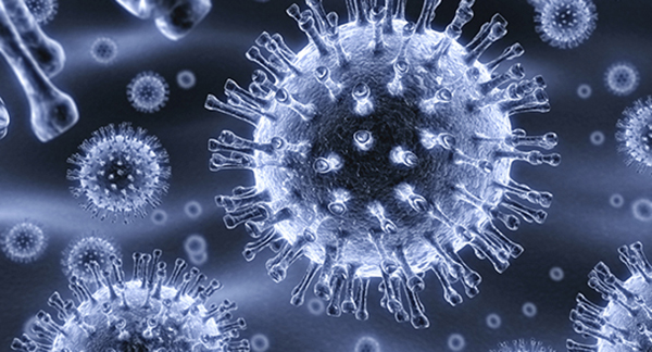 Detailed Study of Flu Genome May Help Efforts to Detect Potential Pandemic