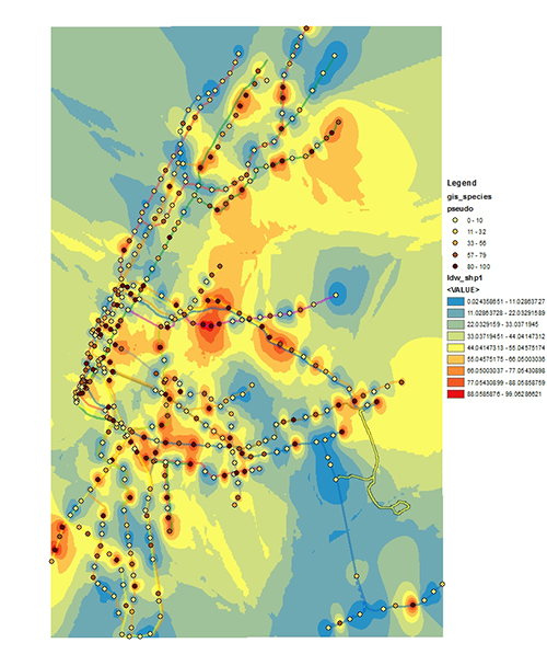 Heatmap of the Pseudomonas genus, the most abundant genus found across the city. Hotspots are found in areas of high station density and traffic. [Ebrahim Afshinnekoo]
