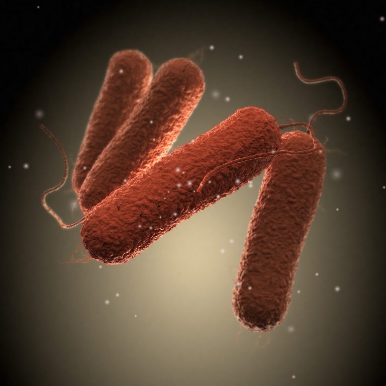 Scientists Develop $10 Per Genome Approach for Large-Scale Bacterial Sequencing
