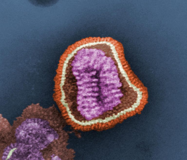 Nanoparticle Flu Vaccine Provides Protection against Six Viral Strains