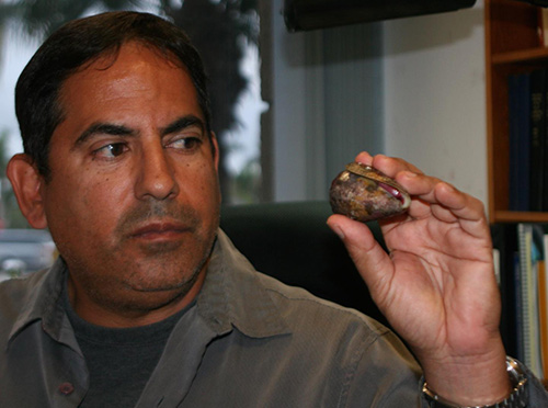 Professor Frank Marí in the Charles E. Schmidt College of Science at Florida Atlantic University holds a live Conus regius