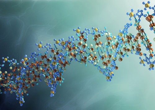 Maximizing the Efficacy of Genetic Testing