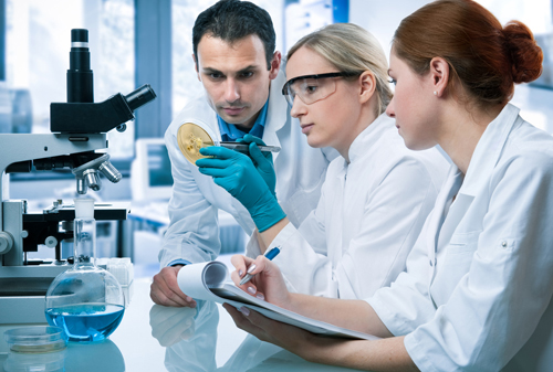 Deal fortifies Thermo's portfolio of automated equipment for microbiology labs. [© Alexander Raths - Fotolia.com]