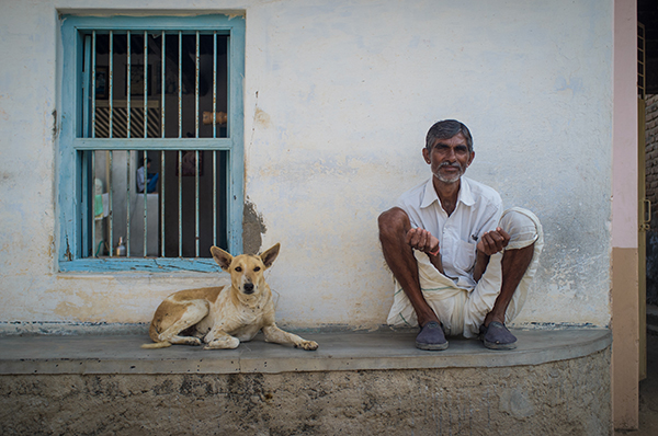 The genomes of village dogs from India