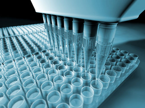 Roche will provide assays and Merck will in addition expand use of AmpliChip P53 microarray in clinical programs.[Stefan Rajewski - Fotolia.com]