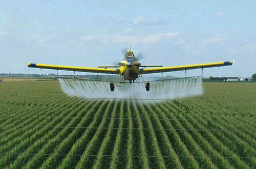 Autism-Like Changes in Gene Expression Caused by Common Pesticides