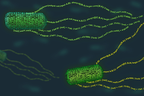MIT biological engineers have devised a programming language that can be used to give new functions to <i>E. coli</i> bacteria. [Janet Iwasa, MIT]” /><br />
<span class=