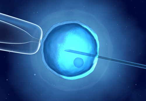 Reject! Study Sets Sights on Substandard Stem Cells