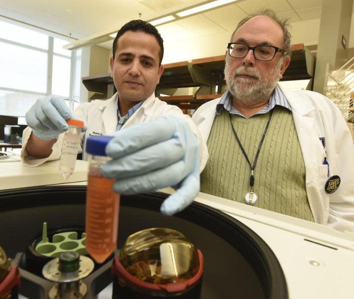 Drs. Esteban Celis and Hussein Sultan in the Georgia Cancer Center at Augusta University laboratory. [Phil Jones