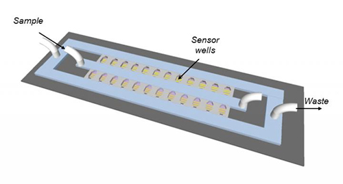 Schematic of the antibiotic susceptibility testing device. The bacteria are cultured in miniature chambers, each of which contains a filter for bacterial capture and electrodes for readout of bacterial metabolism. [U of T Engineering]