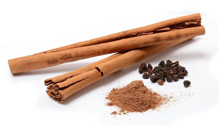 Fat Cells Feel the Burn when Metabolism is Spiced with Cinnamon