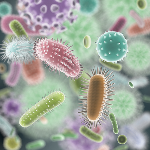 Gut Viromes Are Highly Individualized, Yet Reveal Shared Patterns