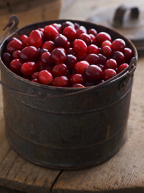 Cranberries Get Tart on Virulent Bacteria