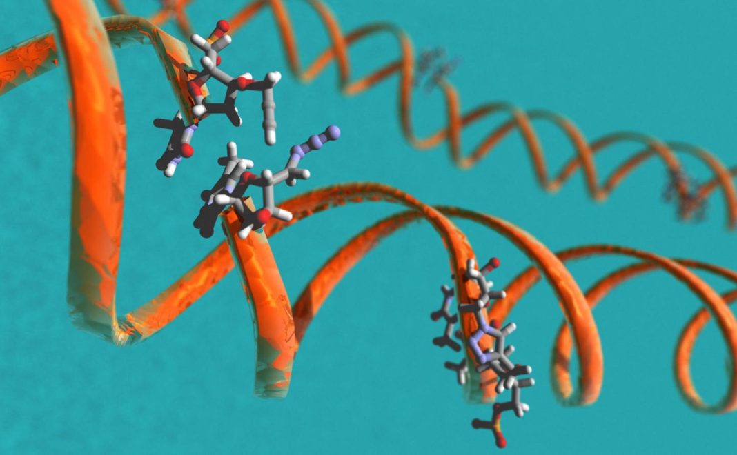 A new DNA synthesis approach that relies on click chemistry produces large constructs that are not only biocompatible