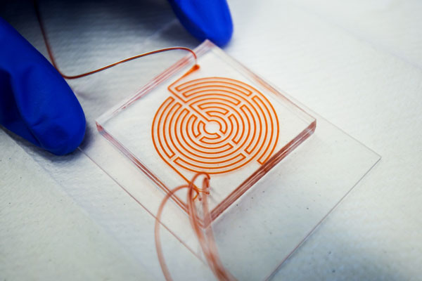 Novel Labyrinth Chip Monitors Cancer Stem Cells in Clinical Trial