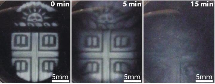 Brown researchers have found a way to 3-D print intricate temporary microstructures that can be degraded on demand using a biocompatible chemical trigger. The technique could be useful could be useful in fabricating microfluidic devices, creating biomaterials that respond dynamically to stimuli and in patterning artificial tissue. [Wong Lab / Brown University]