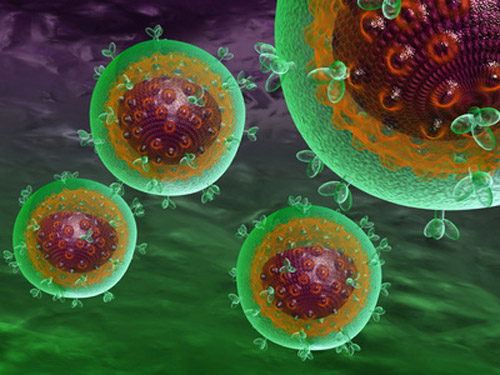 Stripping HIV envelope of cholesterol turns virus into effective recall immunogen for stimulating CD8 T-cell responses. [4designersart - Fotolia.com]