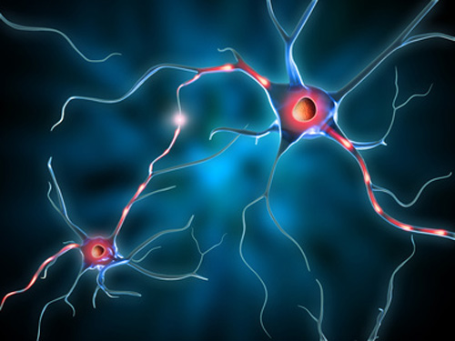 Alzheimer Neurons