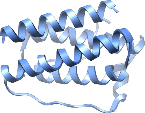 Three-dimensional structure of leptin. [Wikipedia
