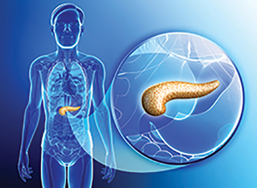Pancreatic Cancer Growth Powered by Super-Enhancer Cascade
