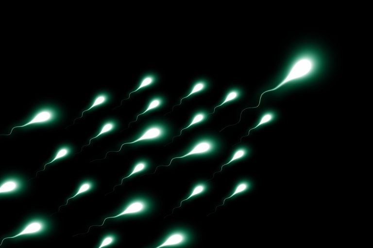 Swimming Sperm Stopped by Nonhormonal Male Contraceptive
