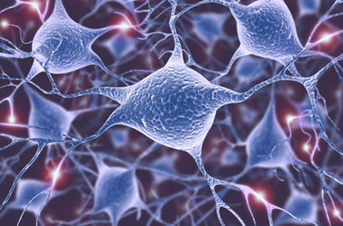 Parkinson Patients Show Metabolic and Inflammatory Changes in Trial