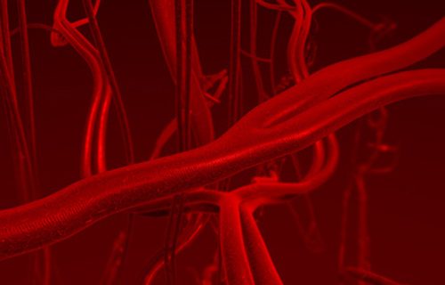arteries, arterioles, artery, bleed, bleeding, blood, branch, branches, capillaries, capillary, cell, cells, clot, corpuscle, disc, discs, erythrocyte, flesh, flow, flowing, fluid, force, haemoglobin, health, healthcare, heart, hemocyte, hemoglobin, human, illustration, leukocyte, life, medical, medicine, metabolic, metabolism, micro, perspective, plasma, pulse, pulsing, pump, pumping, race, racing, red, rendering, round, space, surgery, system, through, vein, veins, venules, vessel, vessels, wealth