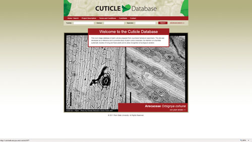 Cuticle Database